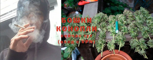 трава Козельск