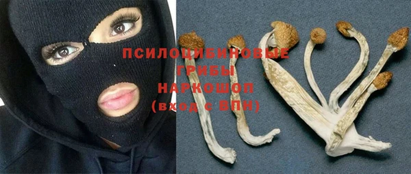 трава Козельск